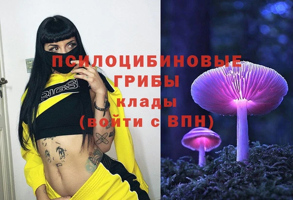 прущий лед Михайловка