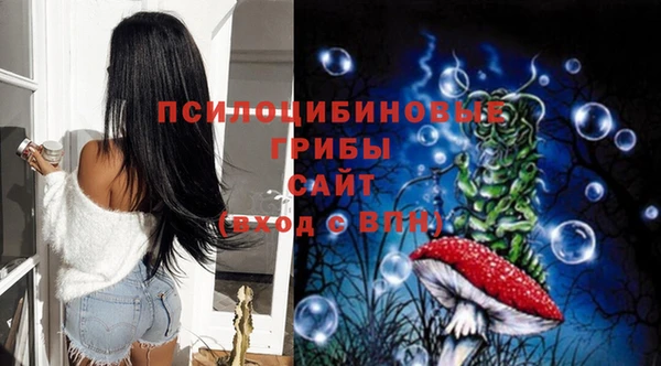 прущая мука Михайлов