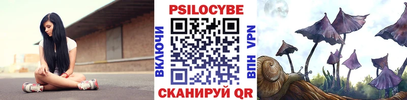 Псилоцибиновые грибы ЛСД  Бор 