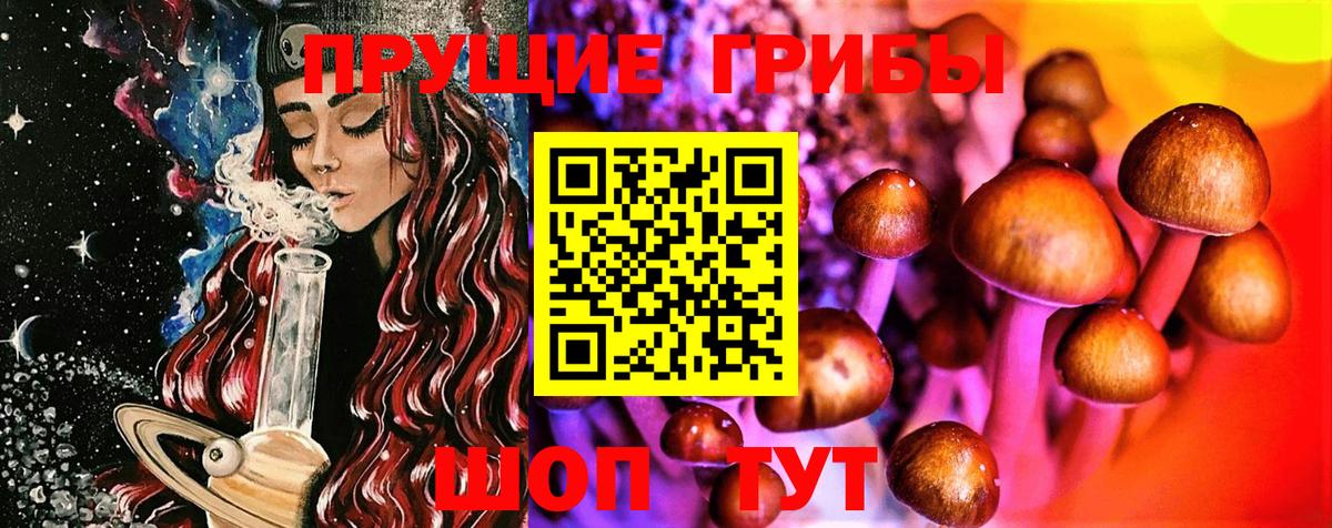 Псилоцибиновые грибы Magic Shrooms Бор