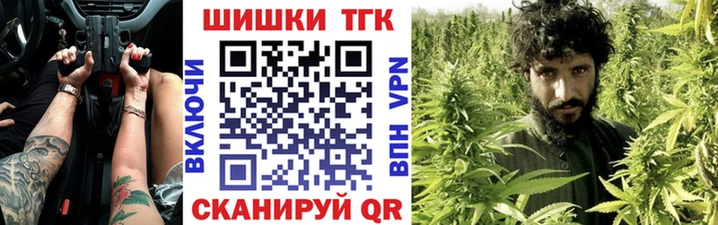 Бошки Шишки планчик  Бор 